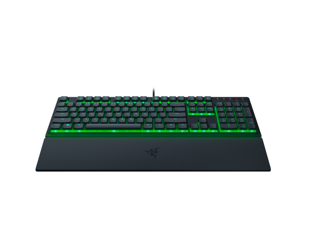 ornata v3 x 2022 render 4